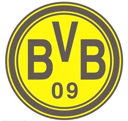 这一届赛事 这一届赛事