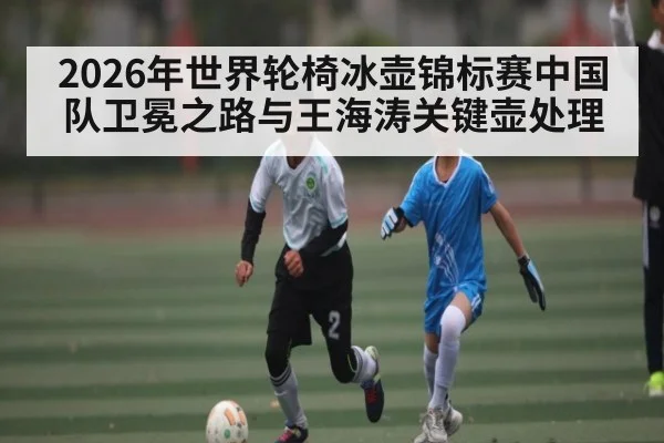 2026年世界轮椅冰壶锦标赛中国队卫冕之路与王海涛关键壶处理